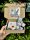 Angyal Box
