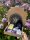 Divination Box