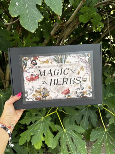 Gyógynövény box - 40 féle kellék varázslatokhoz