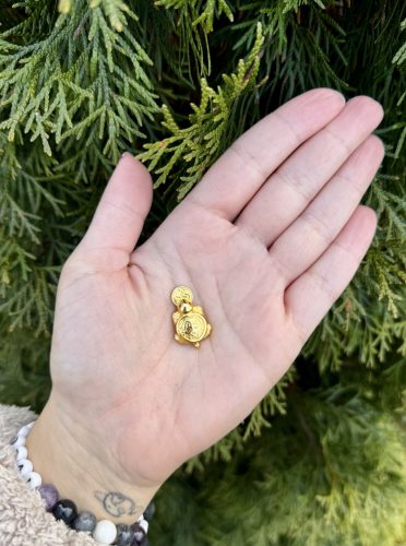 Bőség- és szerencsehozó teknős